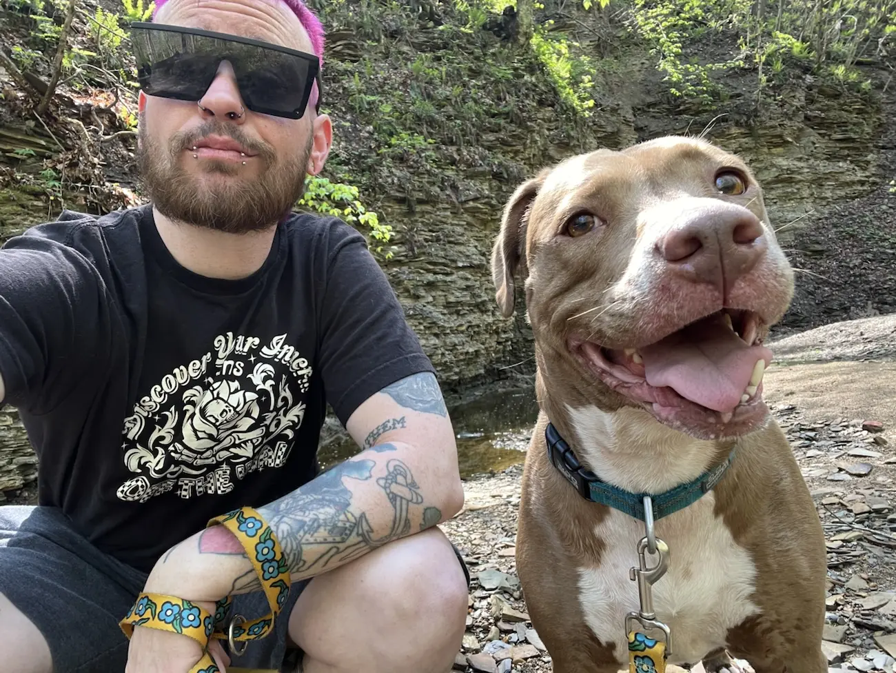 Bully Breeds – The Worst or the Best?