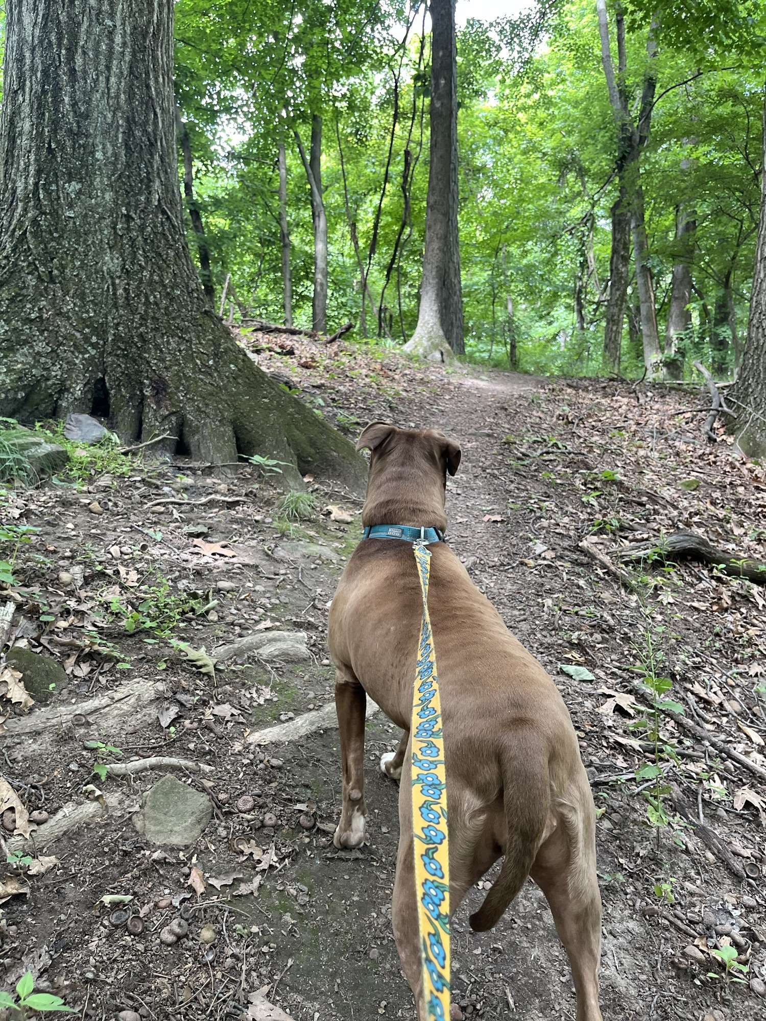 Keller-Kirn Park – A Wild Little Corner of Lancaster, Ohio: